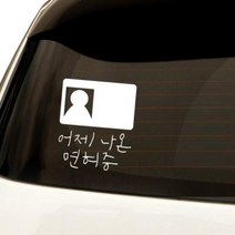 아트박스/원에이엠 1AM 자동차스티커 심플 어제나온면허, 심플_어제나온면허:초록