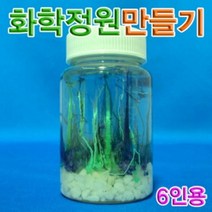 현guss_삼투압현상관찰 과학정원만들기 화학 실험 만들기♥snbrm, ♥현명한선택!!