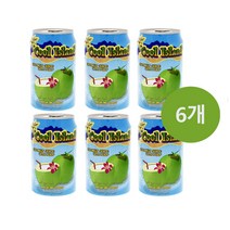 타이 쿨 아일랜드 코코넛주스 위드 퍼플 310ml x 6개 태국음료 코코넛음료 cool island coconut juice