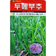 재래종두메부추씨앗100립 고급산채용으로 귀한 영양덩어리 웰빙 토종산부추종자 아람종묘