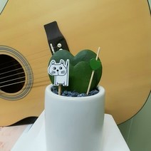 [숯돌꽃] 미니 소형 스투키 하트 호야 선인장 화분 키우기쉬운 식물, 하트호야 화분