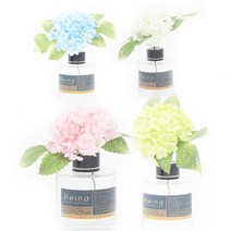 아도라하우스 레이나퍼퓸 스노우수국 블랙 플라워디퓨저 120ml, 블루 청포도