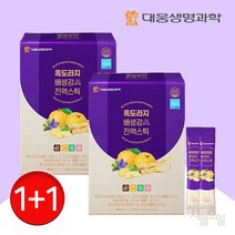도라지 배즙 흑 도라지청 생강 진액 스틱 총200포 기관지 환절기 건강 청