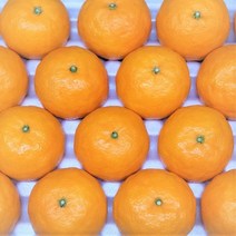 [예성상회] 고당도 하우스 카라향 실중량, 카라향 소과 10KG 가정용 [80수 내외]