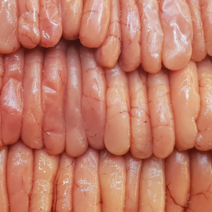 바른젓갈 무색소 저염 명란젓 500g 1kg 가락시장반찬가게 가락몰젓갈, 1봉