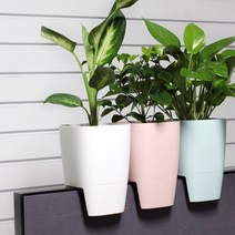 [코아코아] 인테리어 파티션 화분(4color), 화이트
