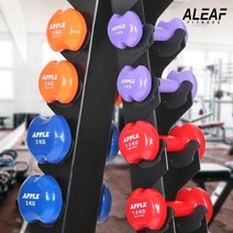 아리프 애플덤벨 3kg 2개 세트 아령 홈트 홈짐 헬스, 없음
