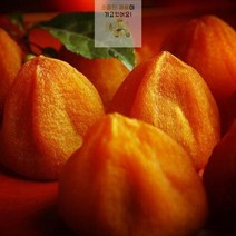 HL) 곶감감 상주곶감 국내산 곶감 건시 1kg 곳감