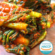 당일생산제조 국내산 산지직송 여수 돌산 갓김치, 2kg, 1개, 2kg