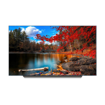 LG전자 올레드 TV OLED65B2VNA 벽걸이/HS, 스탠드형
