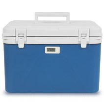 의료용 보냉 아이스박스 온도계 백신 약품 쿨러 가방, 6L 온도계  아이스팩, 6L  + 온도계 + 얼음 팩