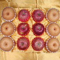 설 명절 과일 백화점용 VIP 선물세트 사과 배 혼합과일세트, 사과5배4 혼합선물 9과