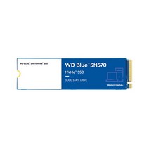 Western Digital WD Blue NVMe SSD SN570 M.2 2280 1TB 3D TLC, 선택1