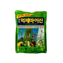 융전 결구촉진 차인산칼슘 꽃눈분화증진 비대 당도 착색 억제마이신(500g), 융전억제마이신(500g), 1개