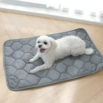 펫 방수 패드 강아지 고양이 유모차 켄넬 이동장 매트 노령견 방수요 2size 2colors, (방수)면 그레이