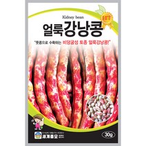 얼룩강낭콩 씨앗 30g 풋콩으로 수확하는 비덩굴성 토종콩 세계종묘, 1개