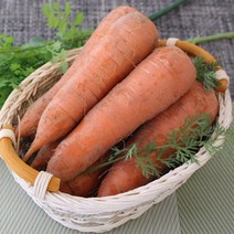 흙당근 /쥬스용/20kg내외 1박스 자연대로팜웨이, 흙당근쥬스용 20kg내외, 흙당근쥬스용 20kg