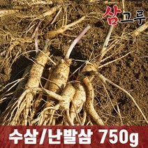 금산인삼 5년근 6년근 수삼 난발삼 원수삼 세척무료 750g 1채, 2.세척-원삼 소 750g 15-19뿌리