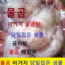 (쌍다리상회) 물곰 물곰치 2kg내외 5-6인분, 생물 물곰치 토막손질 2kg내외 5-6인용 생물