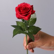 프리저브드플라워 말린꽃다발 인공 꽃 영원한 장미 보존된 유리 아로마 테라피 D 야간 조명 크리스마스 발, 06 Rainbow Rose