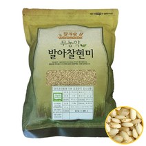 (마스크 증정) 22년 햇곡 장세순 무농약 발아찰현미 1.2kg 친환경 발아현미, 1봉