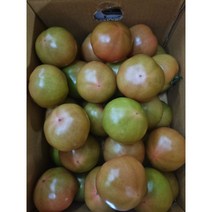 [과애모]완숙 토마토 10kg, 중과(3번)