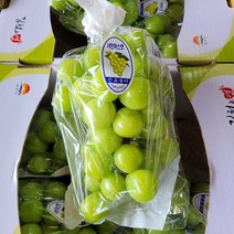 (용이다팜) 샤인머스켓 2kg 3-4수 / 5수
