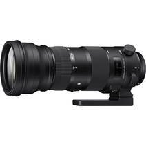 시그마 150-600mm f5-63 dg os hsm | 스포츠, 니콘용, 렌즈만