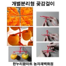 한누리팜마트 개별분리형 곶감걸이 (10개) 곶감행거 곶감건조, 1개
