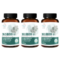 고소한마켓 순수한줌 인도산 2세대 보스웰리아 정 보수엘리아 1000mg, 1000mg 180정, 1개