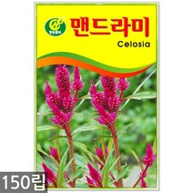 강낭콩 2g - 콩 씨 씨앗 강낭콩씨앗 강남콩씨앗 강낭콩씨, 09_청농_맨드라미(150립)