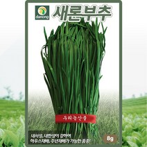 새론 부추 씨앗 부추 씨 종자 8g, 단품