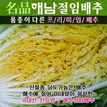 (산지직송) 명품해남절임배추 20kg (최고비싼품종 30년배추농사), 12월16일(금)도착