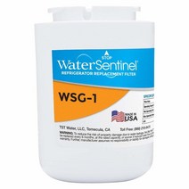 WaterSentinel WSG-1 미국산 냉장고 교체 필터: GE MWF 필터에 적합.., 5.5 Inches, 1
