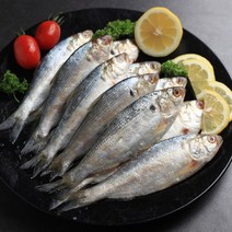 국내산 자연산 전어 1.5kg / 500gx3팩 / 진공포장 / 23년 햇 출하분, 1개, 전어 500g(7-10미) x 3팩