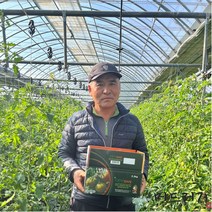 [머드러기] 산지직송 당일발송 대저 짭짤이 토마토 2.5kg, 짭짤이 토마토 2.5kg(S/로얄과/A+등급)