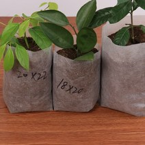 희귀 비싼 다육이 마술 화분 그루트화분 가오갤 콩분 슬릿분 다육이콩분 블루베리 슬릿분원예 물품 다양한 크기의 생분해 성 부직포 보육 가방 식물 성장 가방 패브릭 묘목 냄비, 40x41cm50개