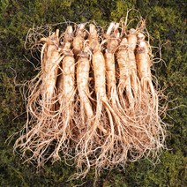 금산인삼 수삼 원수삼 중 무료세척 1채750g 14~17뿌리, 무료세척(약50g감량)