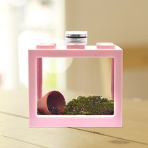 열대어-쉽고편한 뱀파이어크랩 키우기 미니사육장세트