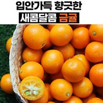 한입에 쏙 새콤달콤 금귤 낑깡 생과 1kg 500g 국내산