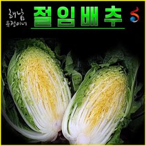 [유기농절임알타리추천] 김장꿀팁 절임 알타리무 충북제천 (kg), 11kg