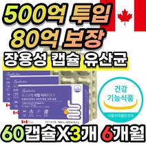 [한정수량] 장용성 500억 80억 보장 프로바이오틱스 LGG 엘지지 김치 모유 비피더스균 유산균 프롤린 프락토올리고당 아미노산 캡슐 리파아제 장 운동 건강 에 도움 배변 임산부, 6개월 / 60캡슐x3개 + 사은품*한정*