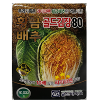 황금배추 씨앗 골드김장80 대포장 5만립 펠렛코팅 라이코펜 항암배추종자 육묘납품용