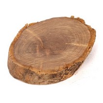 바보사랑 세틀 절단유목 M (활착수초 모스활착) .미미네아쿠아