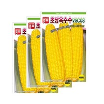 옥수수종자씨앗)초당옥수수(VSC-03)(100립×3) S2582