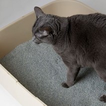 한삽뚝딱 프리미엄 벤토나이트 고양이 모래 6kg x3개한삽뚝딱