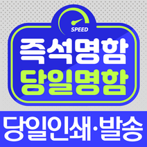 즉석명함 당일명함 소량명함/10장부터 인쇄/당일발송/당일 방문수령, 스타드림, 단면, 30장