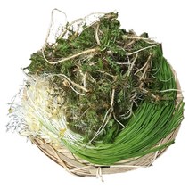 손질세척 달래냉이세트 (냉이500g+달래2묶음) 서산 황토밭 향이진한 봄냉이