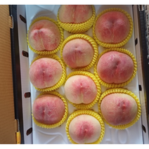 제철 복숭아 4kg 햇사레 감곡 미백 복숭아 양홍장 황도 백도 말랑이 딱딱이 물 복숭아 천중도 그레이트 물복, 12~13과
