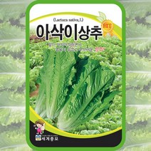 아삭이상추 1000립/상추 텃밭 키우기 종자 씨앗